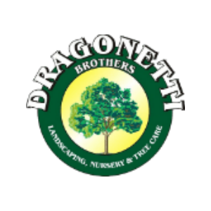 Dragonetti Brothers Tree Removal