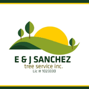 E _ J Sanchez Tree Service