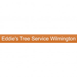 Eddie_s Tree Service Wilmington