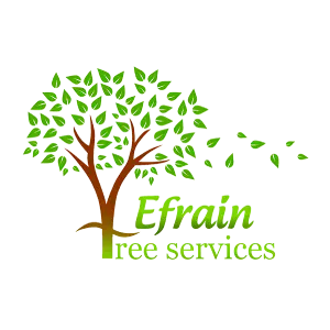 Efrain Tree Service