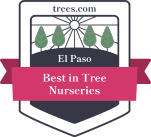 El Paso Tree Nurseries Badge