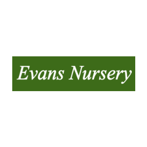 Evans Nursery