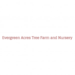Evergreen Acres Tree Farm _ Nursery
