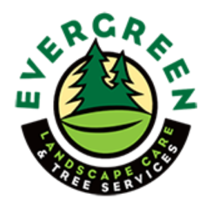 Evergreen Tree Service Experts