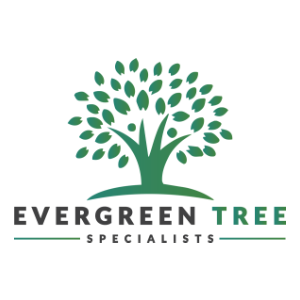 Evergreen Tree Specialists