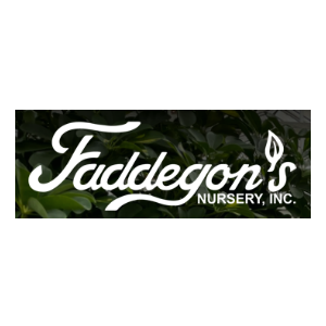 Faddegon_s Nursery, Inc.