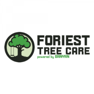 Foriest-Tree-Care