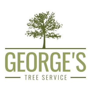 George Tree Service