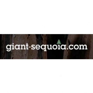 Giant Sequoia Nursery