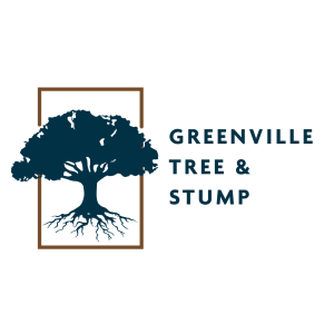 Greenville Tree and Stump