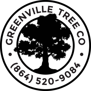 Greenville Tree Co.