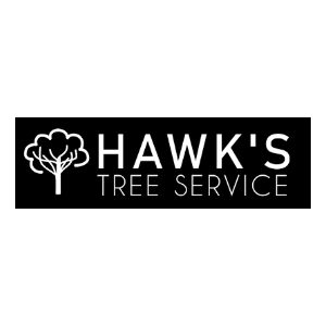 Hawk_s Tree Service