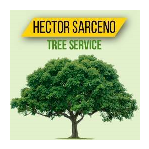 Hector Sarceno Tree Service