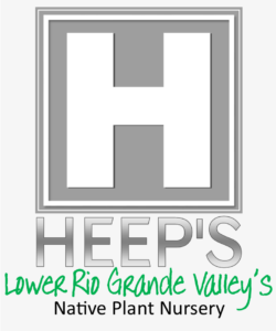Heep_s LRGV Native Plant Nursery
