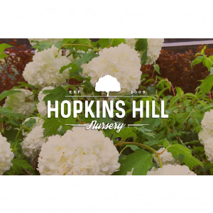 Hopkins Hill Nursery