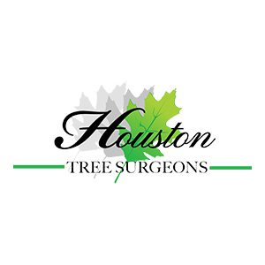 Houston Tree Surgeons