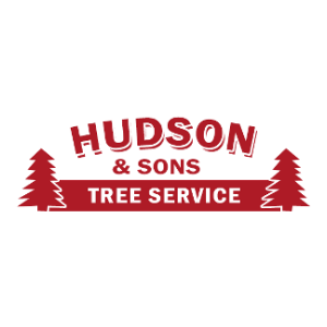 Hudson _ Sons Tree Service