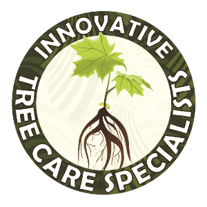 Innovative Tree Care Specialists