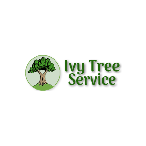 Ivy Tree Service