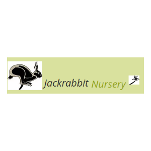 Jackrabbit Nursery