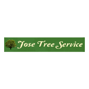 Jose Tree Services