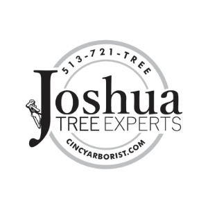 Joshua-Tree-Experts