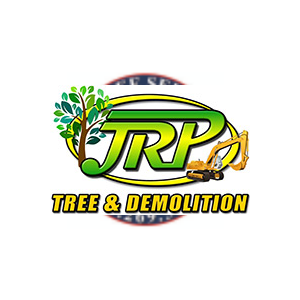 JRP Tree _ Demolition