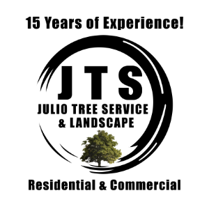 Julio Tree Service _ Landscape