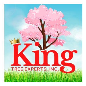 King Tree Experts, Inc.