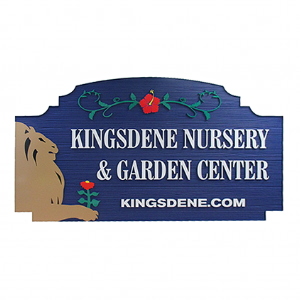 Kingsdene Nurseries