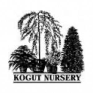 Kogut Nursery LLC