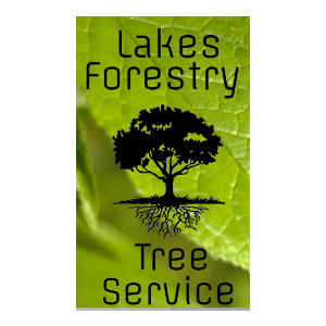 Lakes Forestry Tree Service