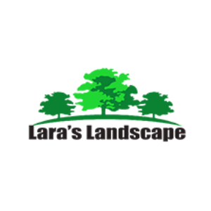 Lara_s Landscape