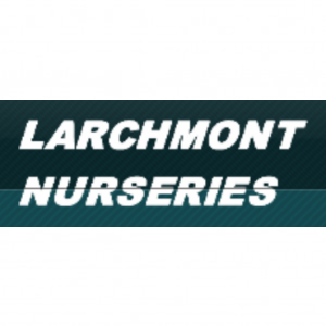 Larchmont Nurseries