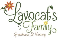 Lavocat_s Family Greenhouse _ Nursery