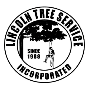 Lincoln Tree Service