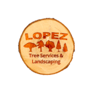 Lopez Tree Services _ Landscaping