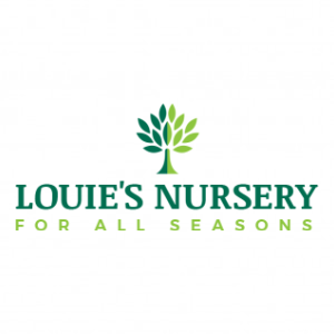 Louie_s Nursery