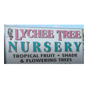 Lychee Tree Nursery