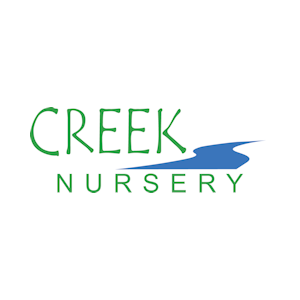 Lychee Tree Nursery(creek nursery)