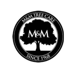 M_M Tree Care