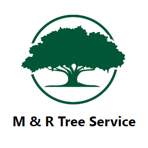 M_R Tree Service LLC