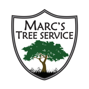 Marc_s Tree Service