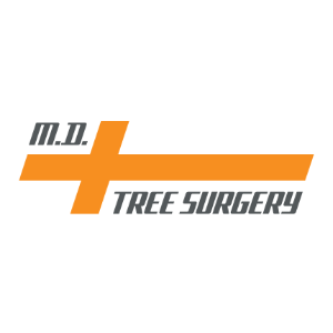 Marco DiGiacinto Tree Surgery