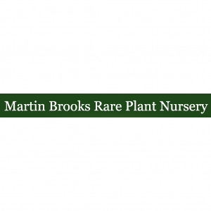 Martin Brooks Rare Plant Nursery
