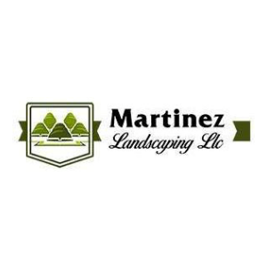 Martinezz Landscaping LLC
