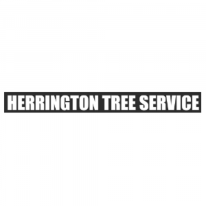 Matt-Herrington-Tree-Service