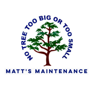 Matt_s Maintenance Tree Service