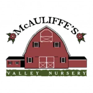 McAuliffe_s Valley Nursery