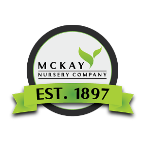 McKay Nursery Company